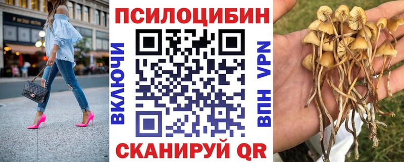 Псилоцибиновые грибы ЛСД  Купить закладки  Стерлитамак 